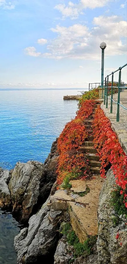 Apartment Izabela Opatija 0*,  Croatia